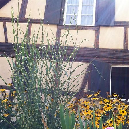 Chambres D'Hotes La Stoob Strasbourg Sud Illkirch-Graffenstaden Ngoại thất bức ảnh